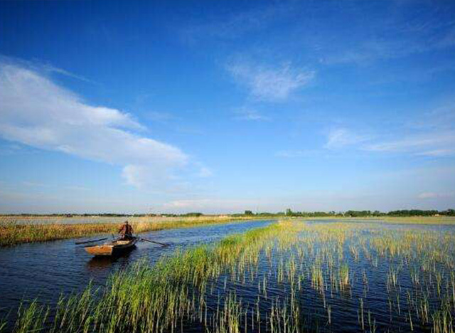 12月7日開標(biāo)！白洋淀淀區(qū)村一體化治理項目對外招標(biāo)啦   