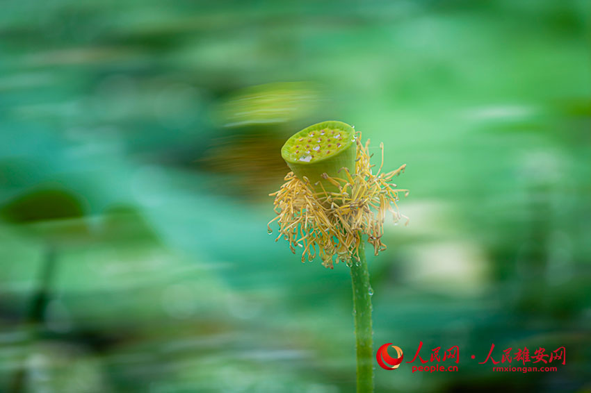 �x��֮���ɏ��Ó�f��������־���z