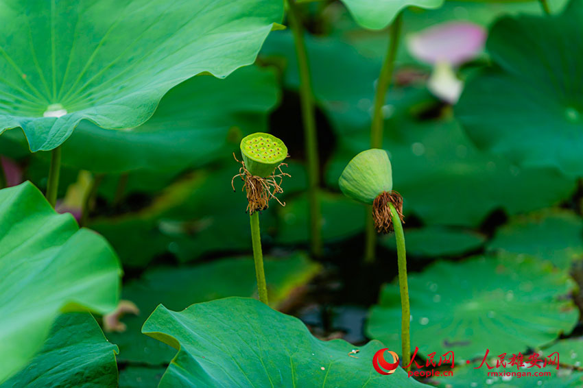 �x��֮���ɏ���������־���z