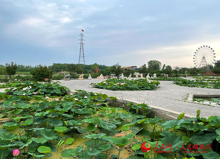 ���_�M��������W�]ޱ�z