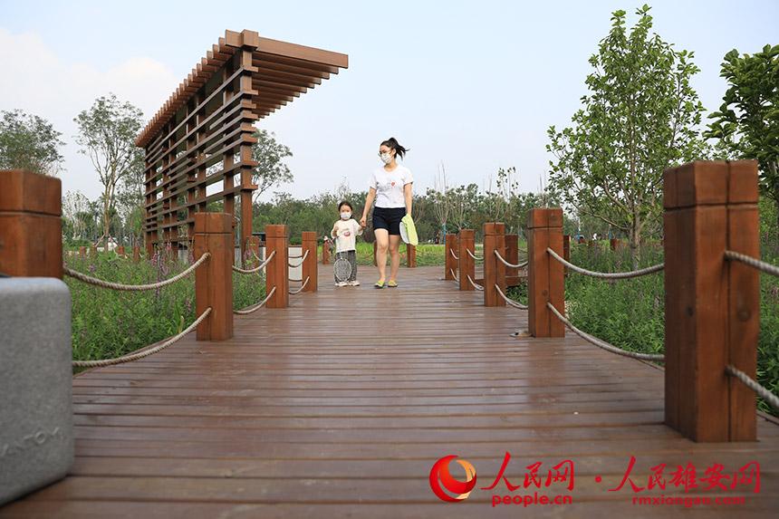 圖為白洋淀站站前公園內,市民正在散步。何伊盟攝