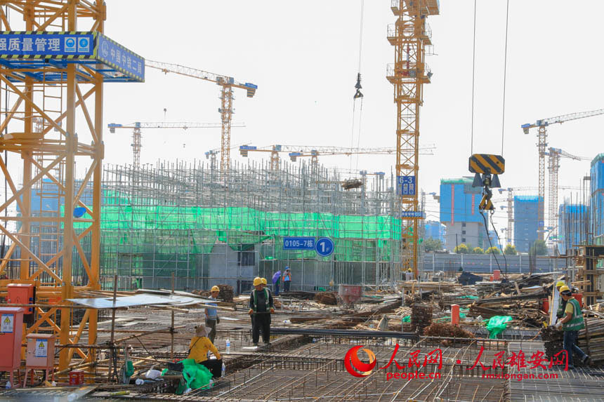 �����µ��۰�����Ƭ�^���O�F��������z