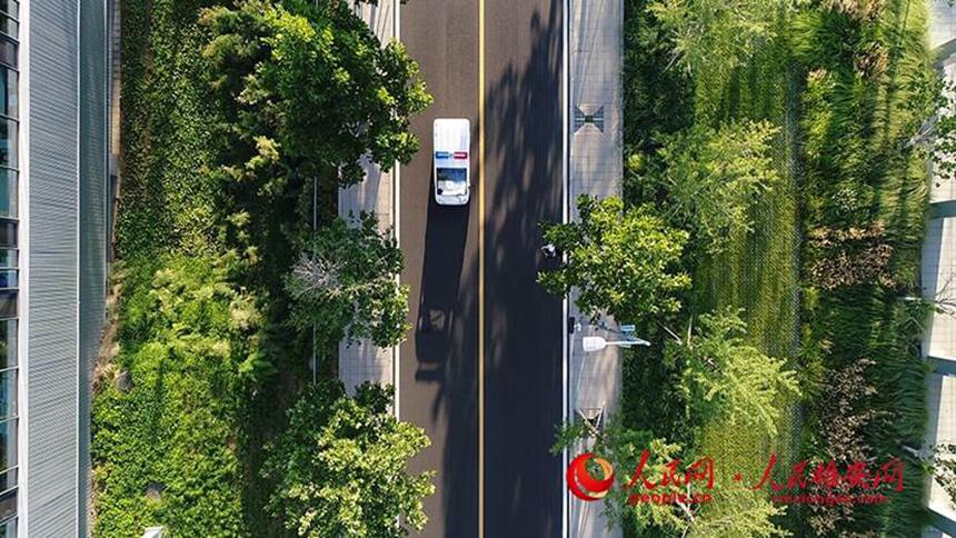 �۰��������(w��)���ĺ��ĈD�������۰��W(w��ng) ������z