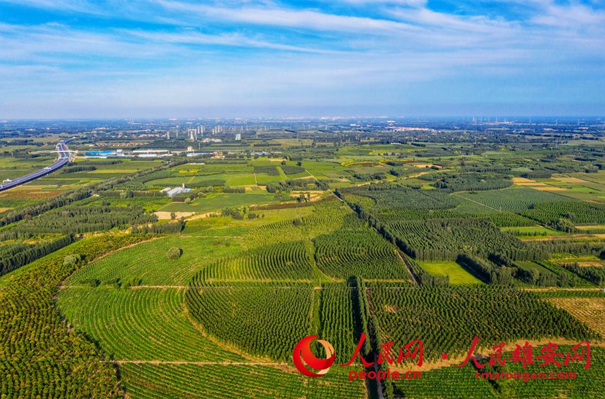 �Gɫ���B(t��i)�˾��³ǅ^(q��)���ڼ��ٽ��O(sh��)�С���Ĕz