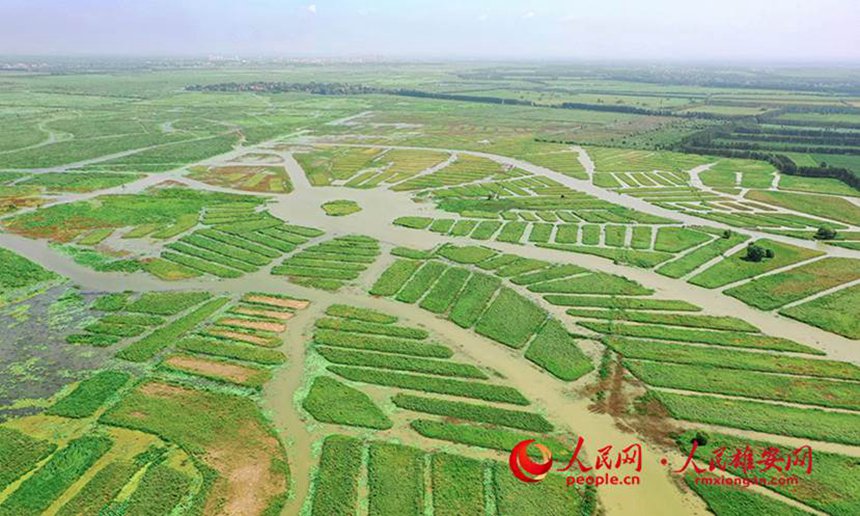 ���z���˸�߀�����B��ػ֏͹��̡������۰��W ������z