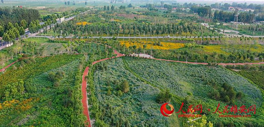 �����۰��^�ݳǿh�������@���O�|�Δz