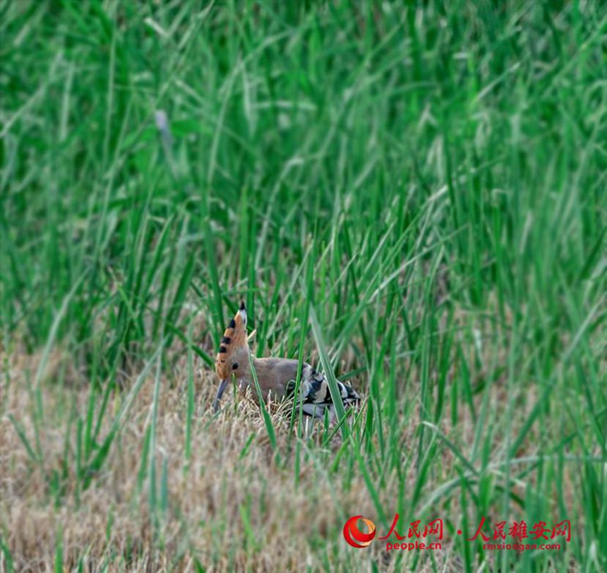 Т�x�Ӻӿڝ�ص��B��������۰��W ������z