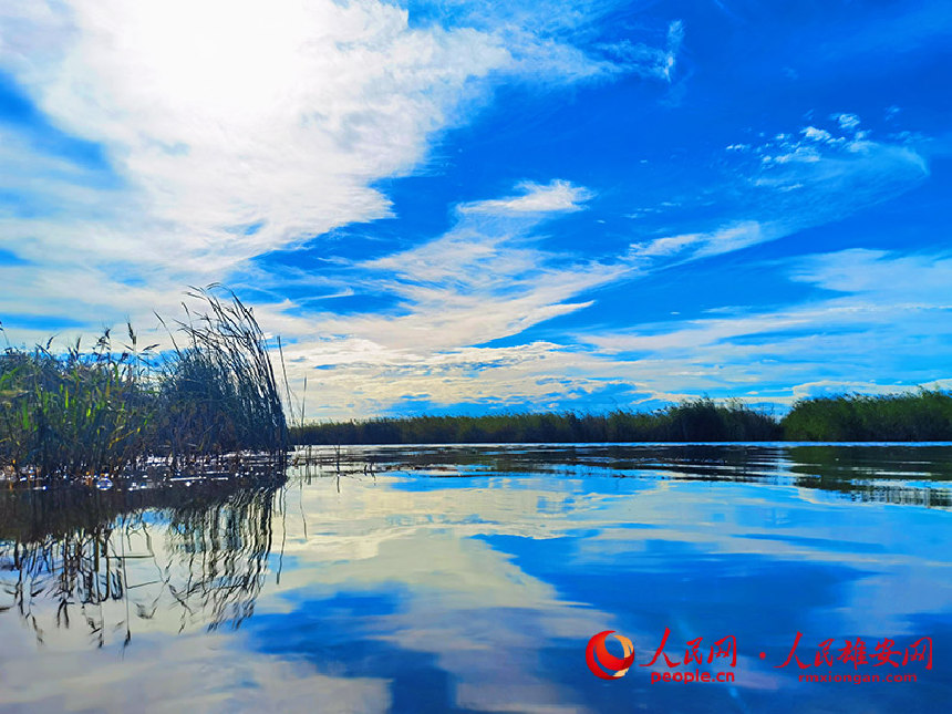 �۰��^�ۿh���g���l�������R�� �z