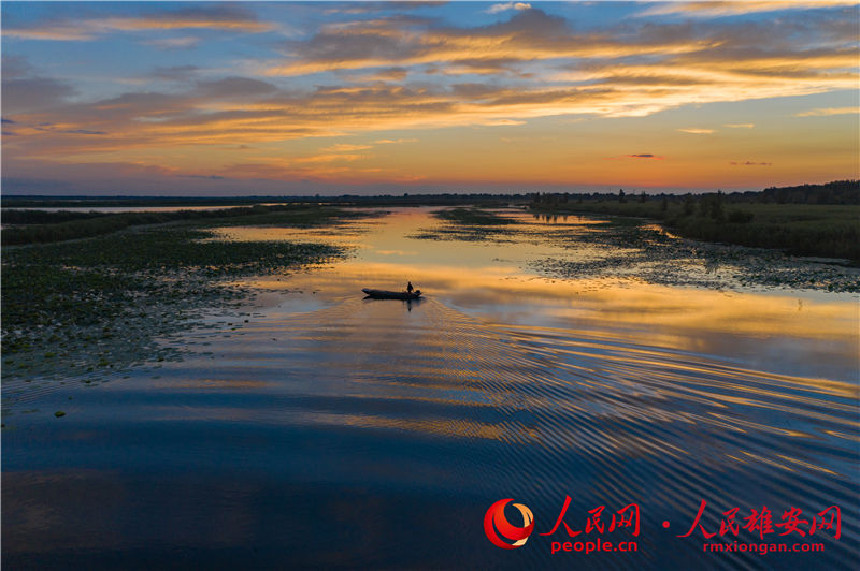 �۰��^�����������ꐂ� �z