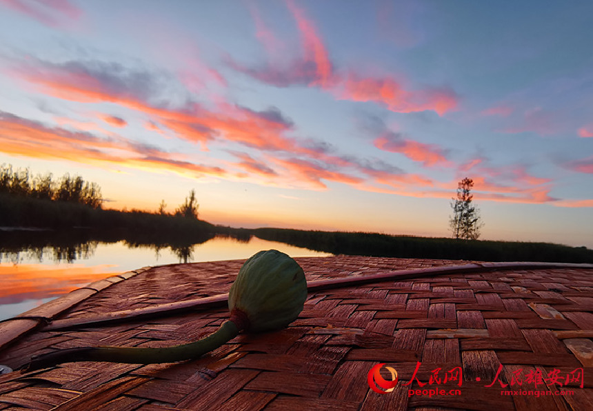 �۰��^�ۿh���g���l������������ �z