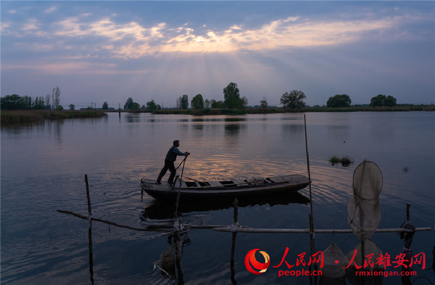 �۰��^�����������ꐂ� �z