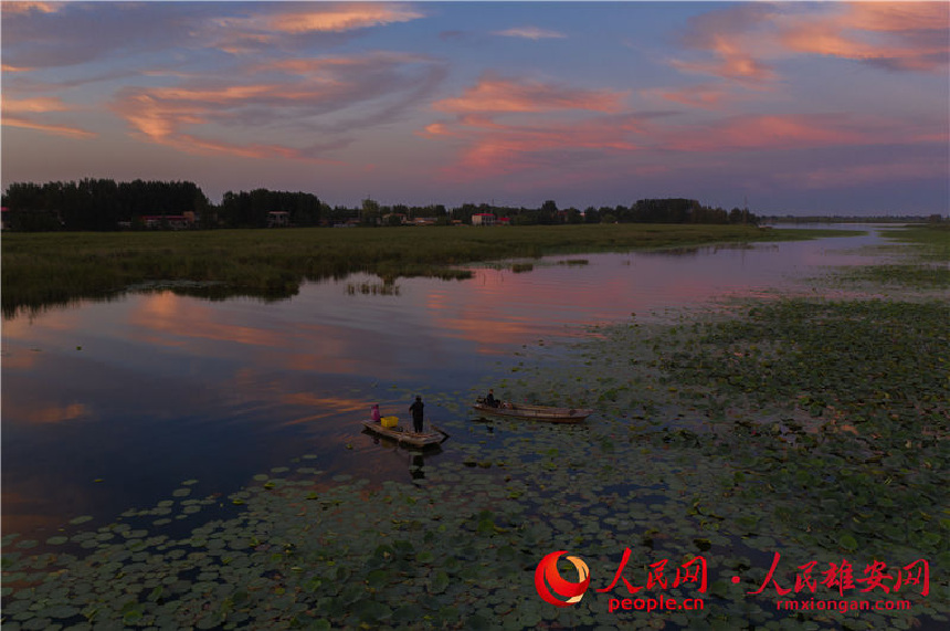 �۰��^(q��)�����������ꐂ� �z