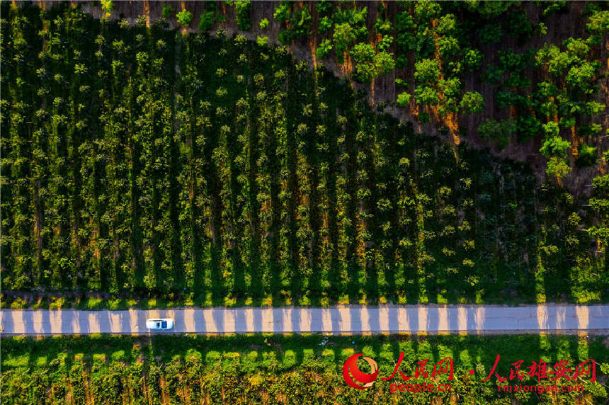 �۰��^��ǧ�����֡���������� �z