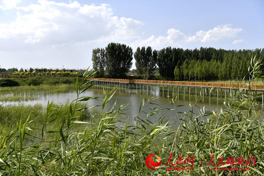 ���¿h�˴���R�����P�Ɉ@���B���@�������۰��W �������z