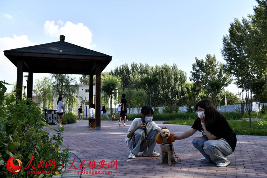 ���ӂ��ڰ��¿h�˴�悴���ϴ�WԷ���@���������G�ؔz