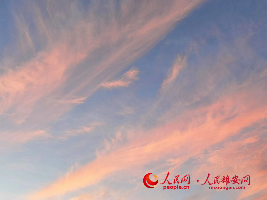 �D���۰���ϼ������W ������z