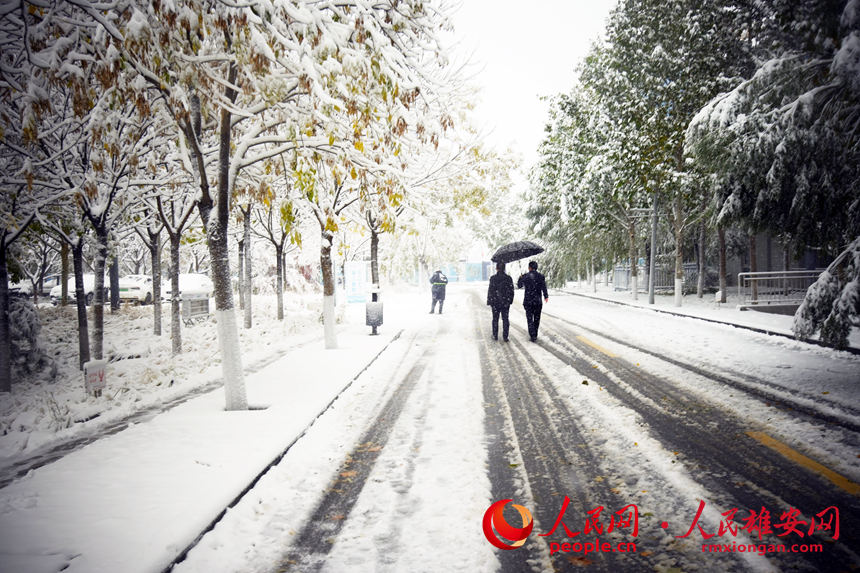 ѩ�е�����������ġ�����ꖔz