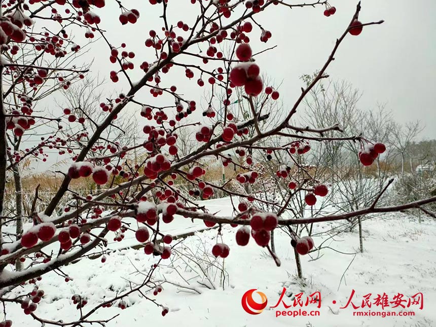 ���¿h�|���^�塣�����Ȕz