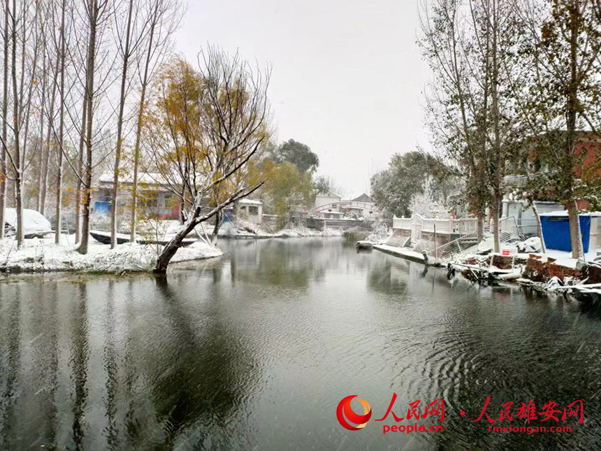 ���¿h�|���^���y�b�ع��������Ȕz