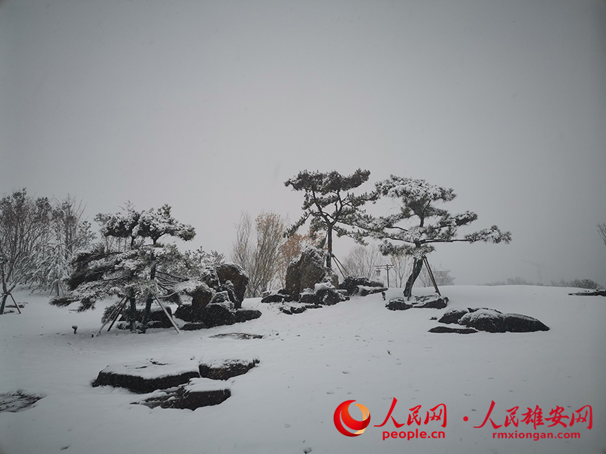 �۰��ݹ��@���T־�i�z