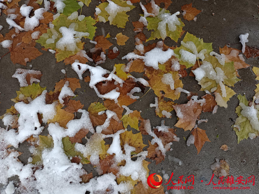 �۰�ѩ�����w���Ҕz