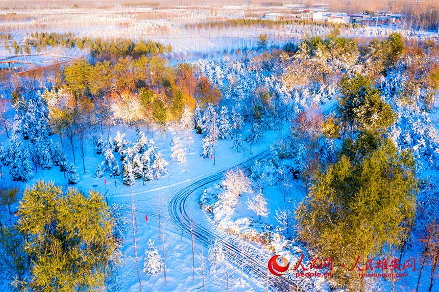 ѩ���۰���ǧ�����֡�����־�z