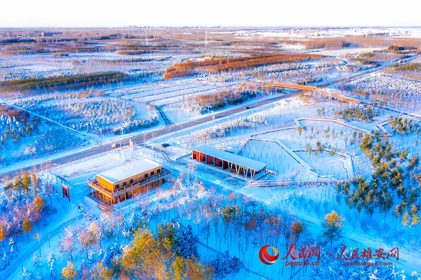 ѩ���۰���ǧ�����֡�����־�z