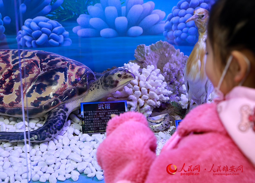 ����о����Ȼ���B�^�ȵ���裘˱��a���˘O����dȤ������W �Ο��Ĕz