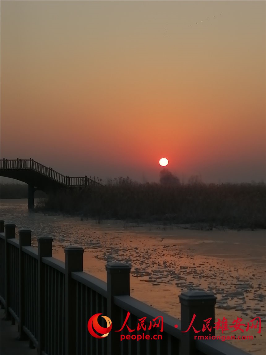 �D��2022��1��1�յİ�����ճ��������� �z