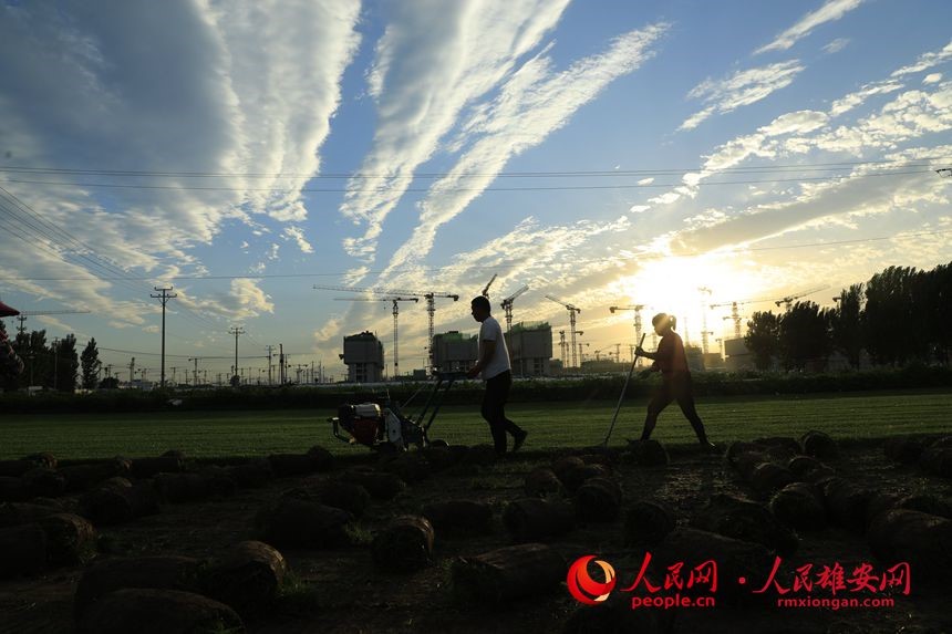 �D���۰��^���O�ߡ����� �z