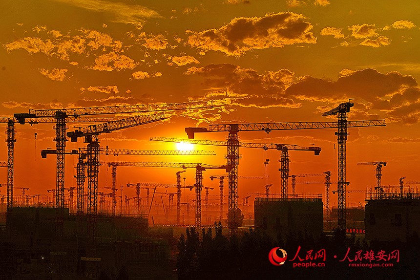 �D������Ƭ�^������ �z