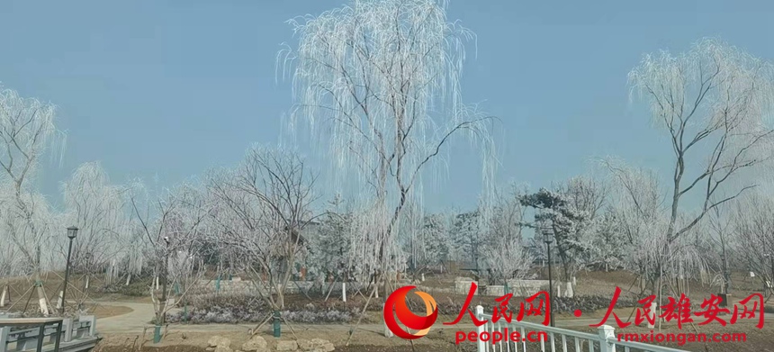 ��䭂֦���������ա��R�Δz