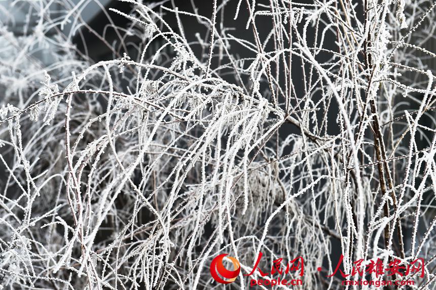 �Fڡ������͸�������(y��ng)�z