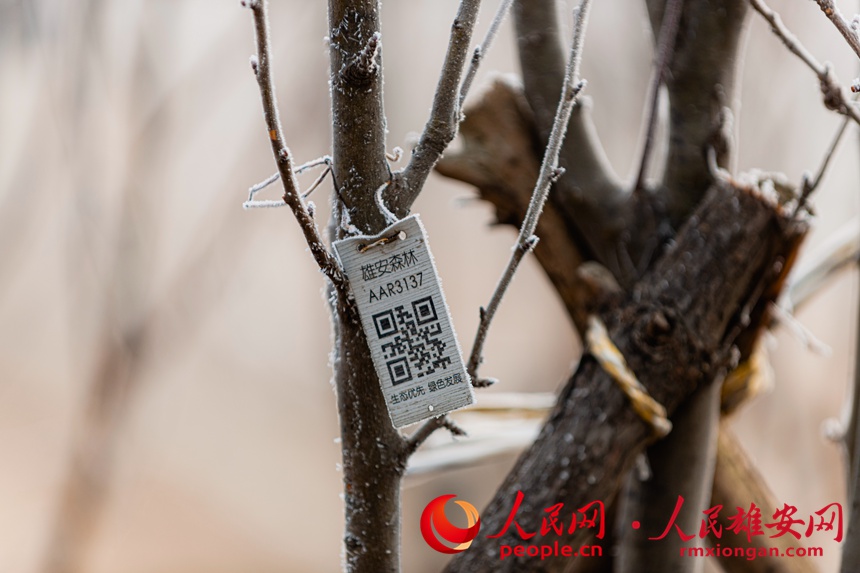 ��ǧ�����֡��Fڡ������־���z