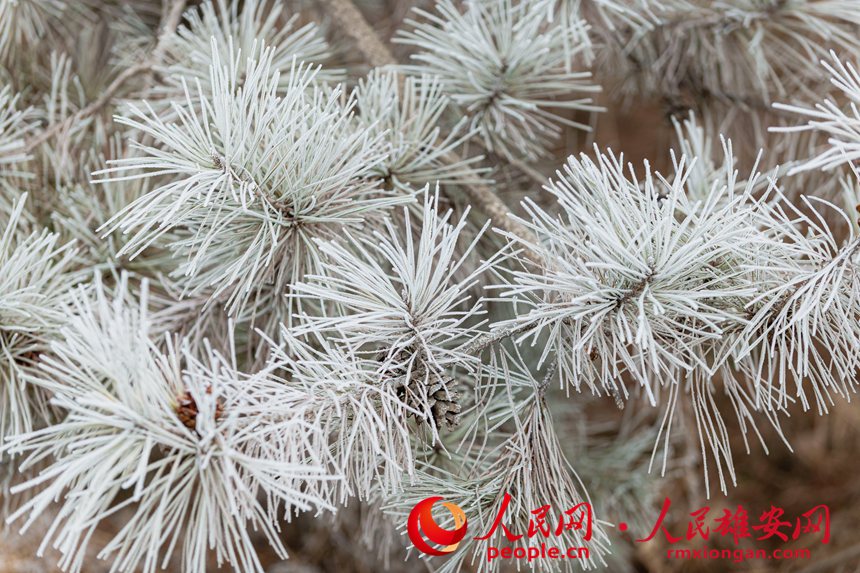 ��ǧ�����֡��Fڡ���^����־���z