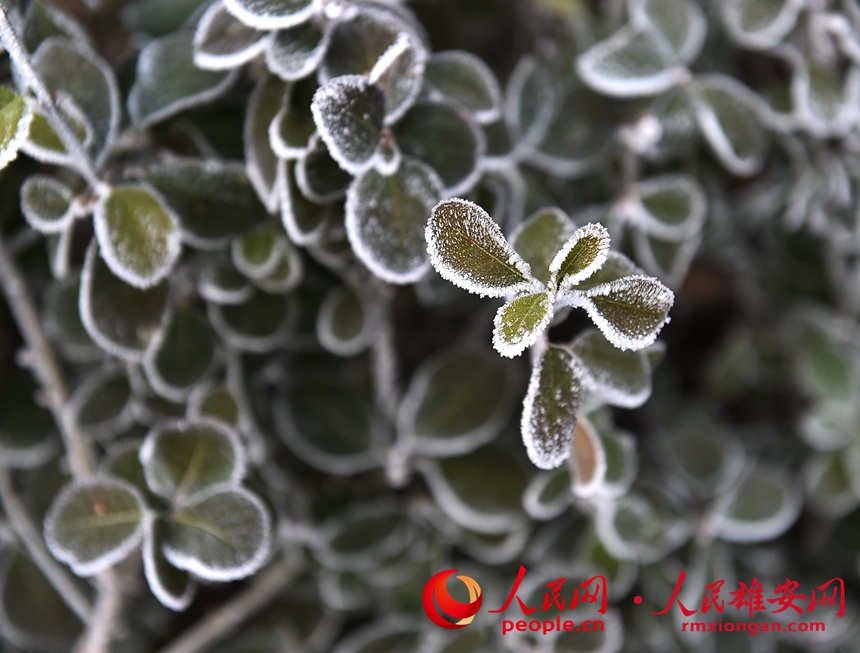 �۰�����������ĵ��Fڡ���󡣄���ꖔz