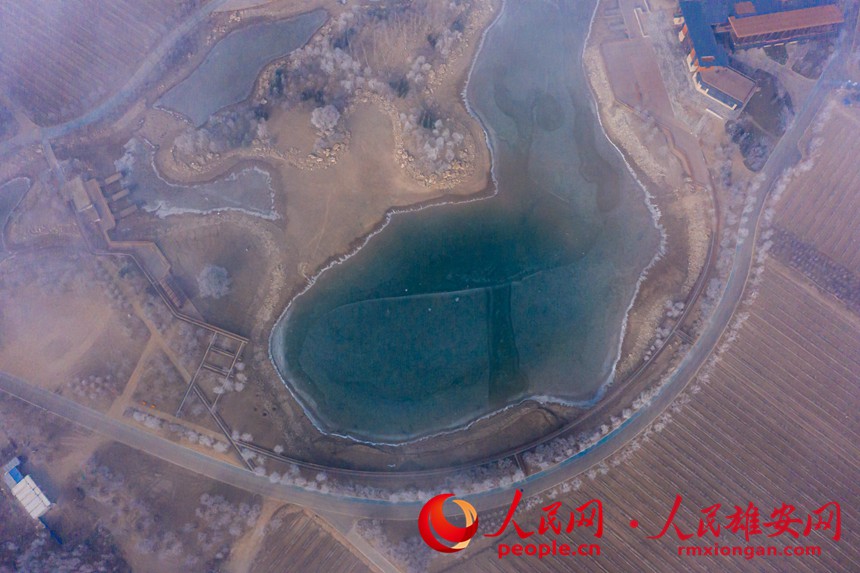 ���ġ�ǧ�����֡��Fڡ���^����־���z