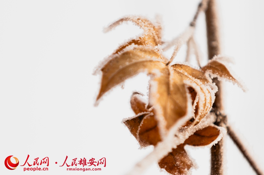 ��ǧ�����֡��Fڡ�������̴T�z