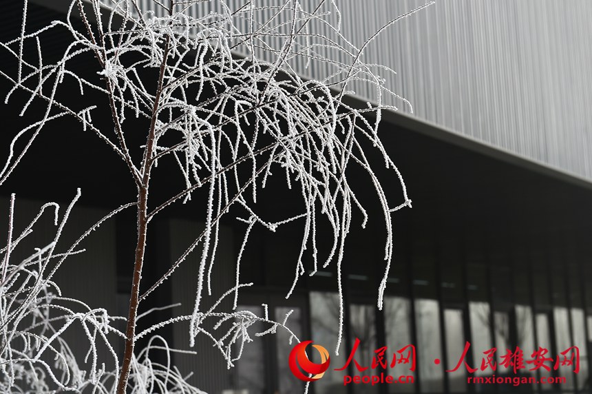 �۰��������(w��)���ĵ��Fڡ���󡣄���ꖔz