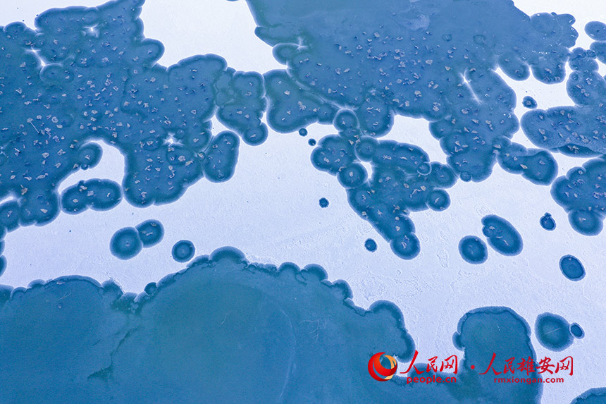 �D�麽��ѩ�����������W�r�z