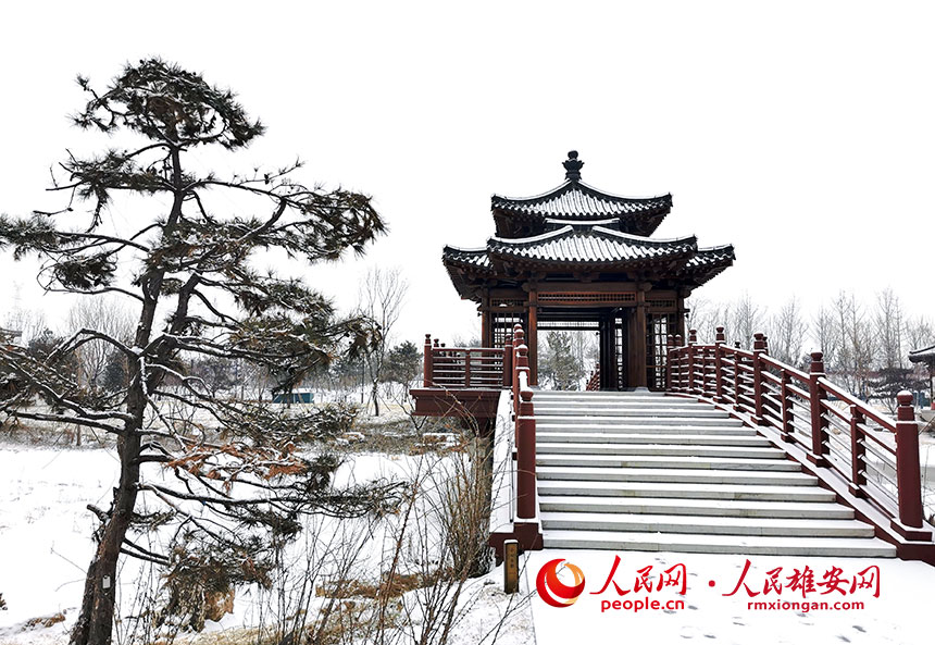 ѩ���ݹ��@һ����͹�@��ʽ�@���Lò������ꖔz