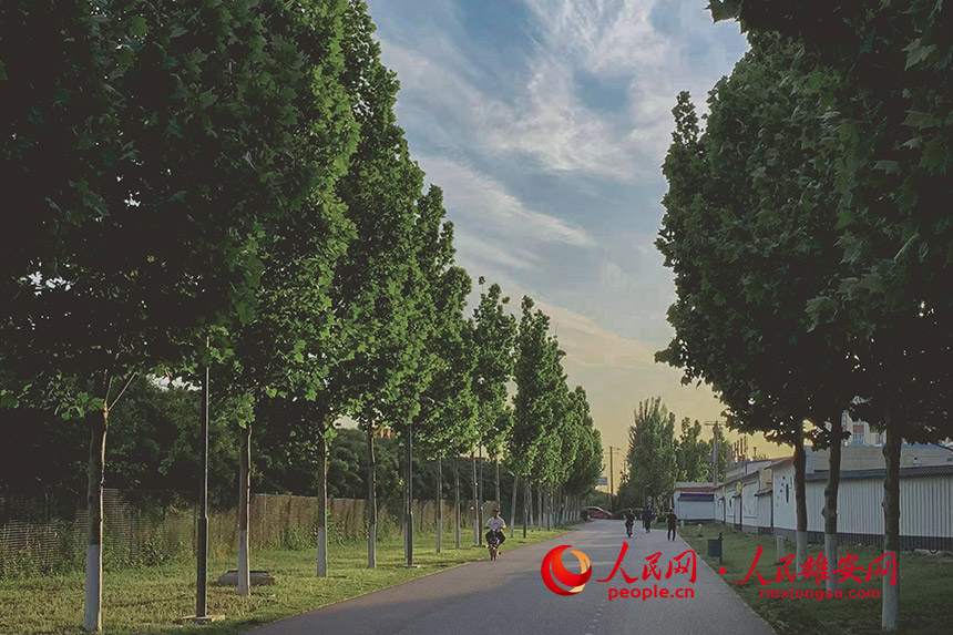 �D���۰��^�ݺ;G����������z