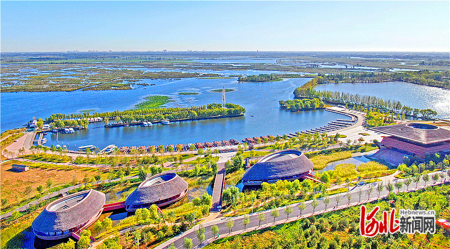 秋日的白洋淀蘆葦婆娑,波光蕩漾,舉目皆景。河北日報記者張昊攝