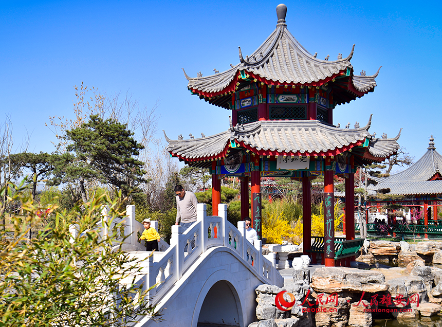 春天的雄安郊野公園,春和景明。人民網?宋燁文攝