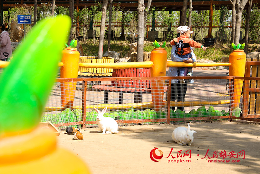 游客和小動物互動。人民網?宋燁文攝