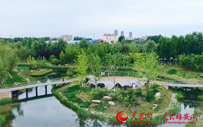 圖為容城縣公園一角。容城縣園林綠化管理中心供圖