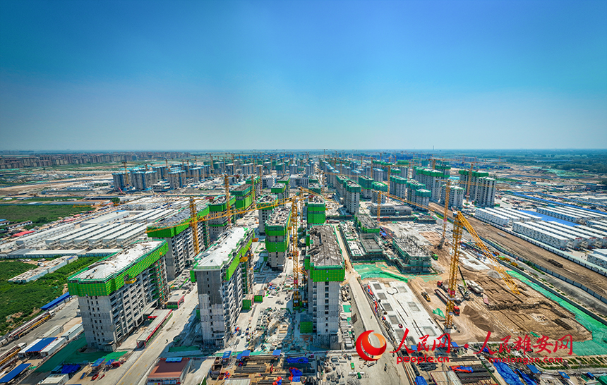 雄安新區(qū)雄東片區(qū)B單元安置房一標段建設現(xiàn)場。任雙歡攝