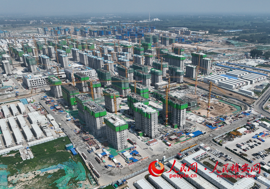 雄安新區雄東片區B單元安置房一標段建設現場。任雙歡攝