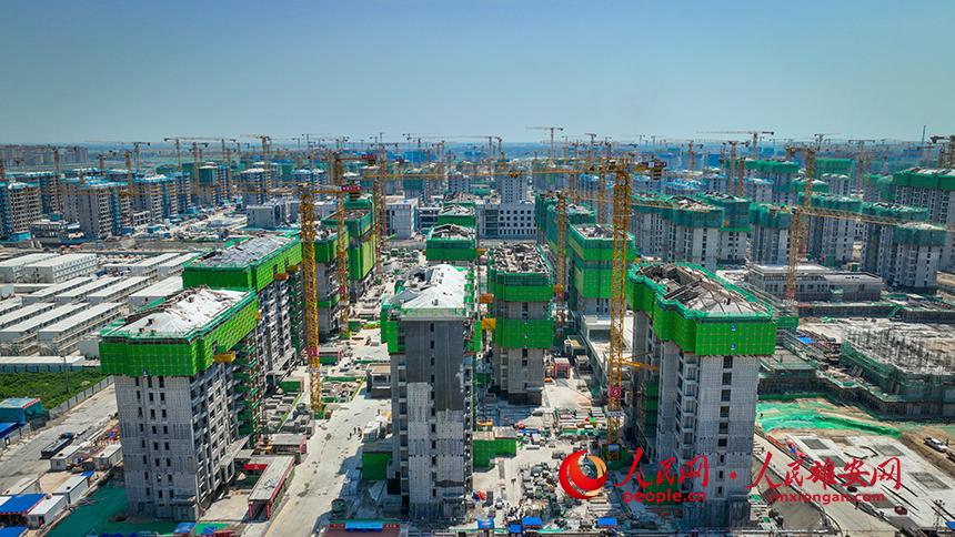 雄安新區雄東片區B單元安置房一標段建設現場。任雙歡攝