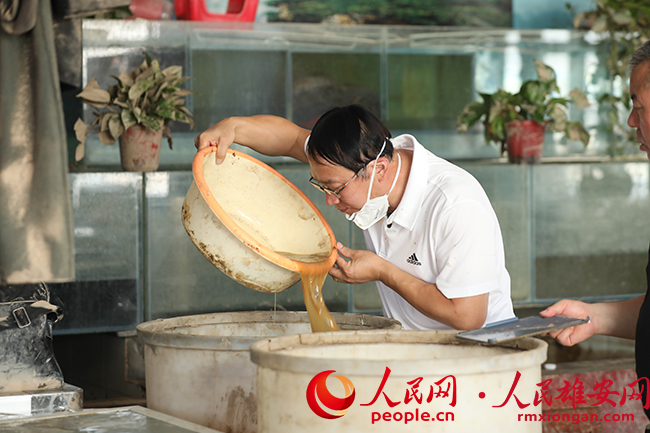 調制酵素噴灑液過程中，董明正在確定液體氣味濃度。人民網 李兆民攝